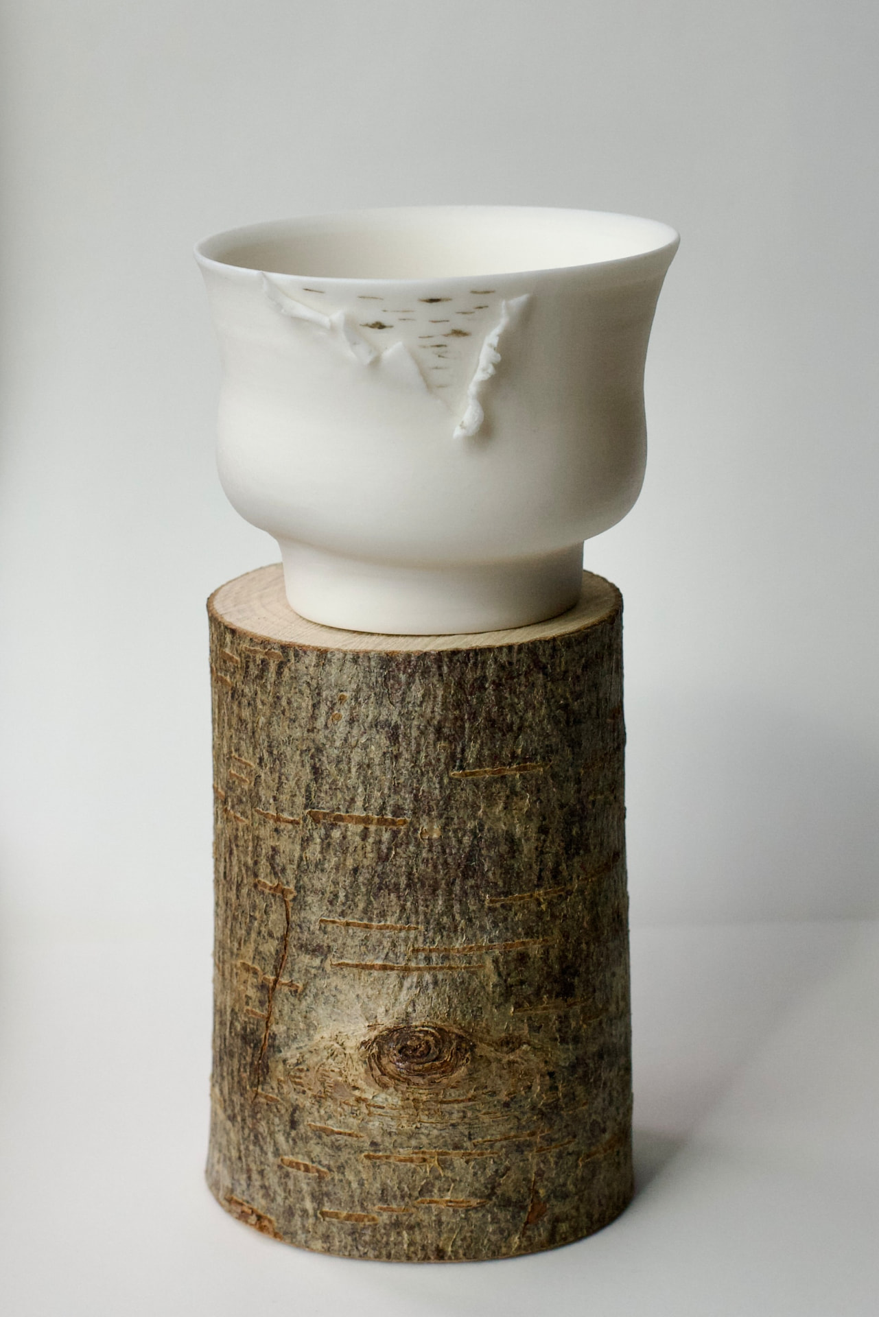 Porcelain cup with birch-bark texture standing on a birch log